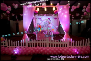birthday decor & ballon decro bird & pink theme by bdpartyplanners.com (8)